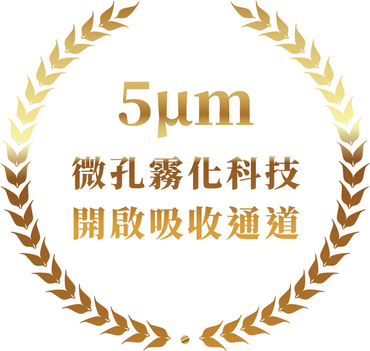 5um 微孔霧化科技開啟吸收通道